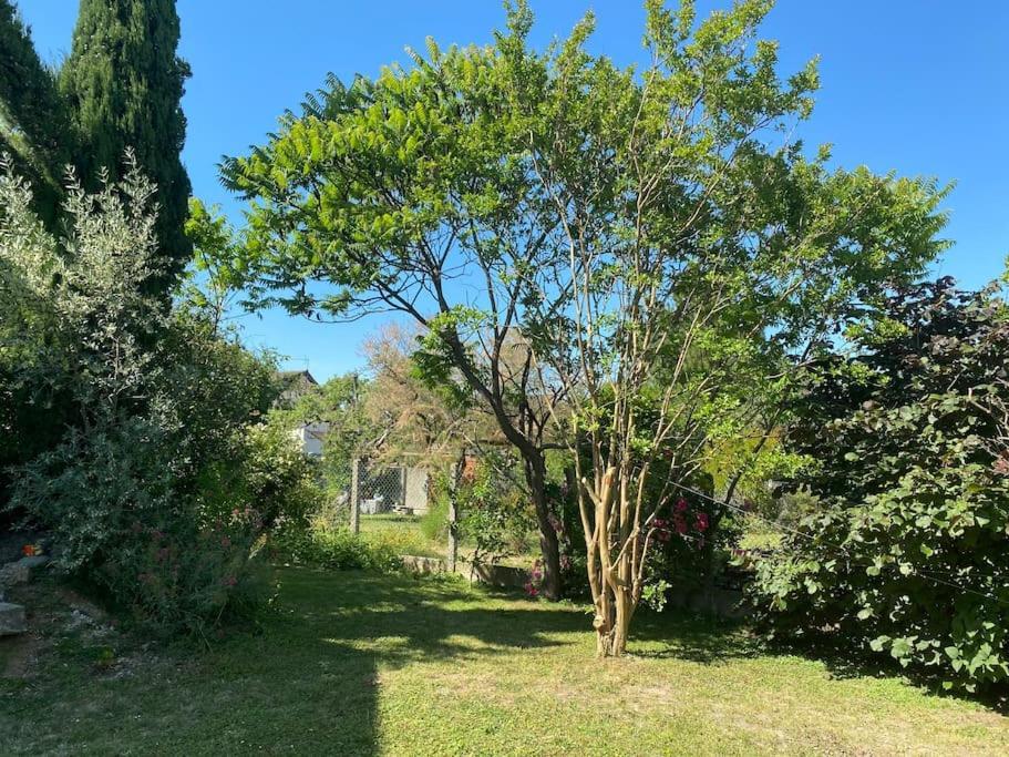 Maison Rez De Jardin Integral Entre Disney & Paris Шель Екстер'єр фото